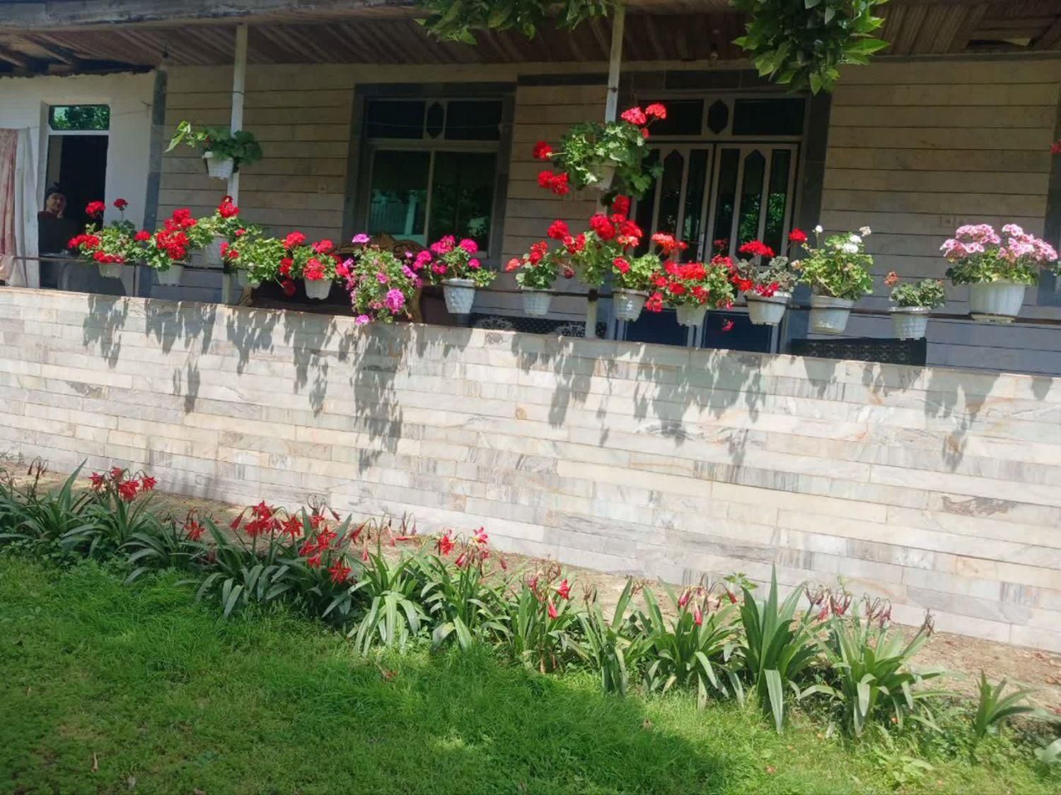 اجاره روزانه/هفتگی/ماهانه آپارتمان ۱۱۰ متری|اجارهٔ کوتاهمدت آپارتمان و سوئیت|ماسال, |دیوار