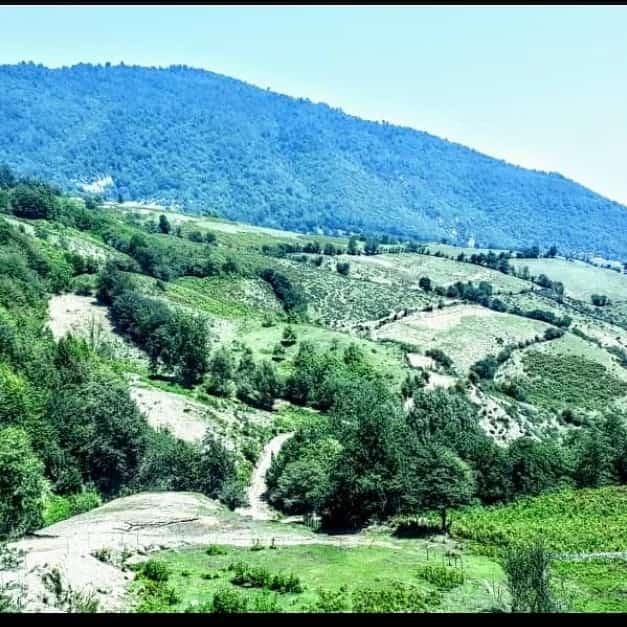 زمین ۱۰۰۰ متری قیمت مناسب،منطقه اعیان نشین باغشهر|فروش زمین و ملک کلنگی|هشتگرد, |دیوار