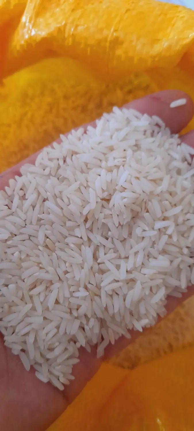 برنج هاشمی و لاشه و نیم دانه هاشمی|خوردنی و آشامیدنی|رشت, استقامت ۲|دیوار
