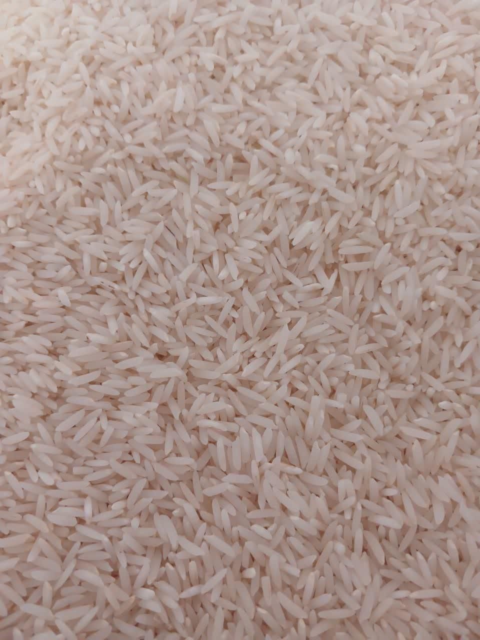 برنج سالم هاشمی محلی سورتینگ شده|خوردنی و آشامیدنی|رشت, کوی مهر|دیوار