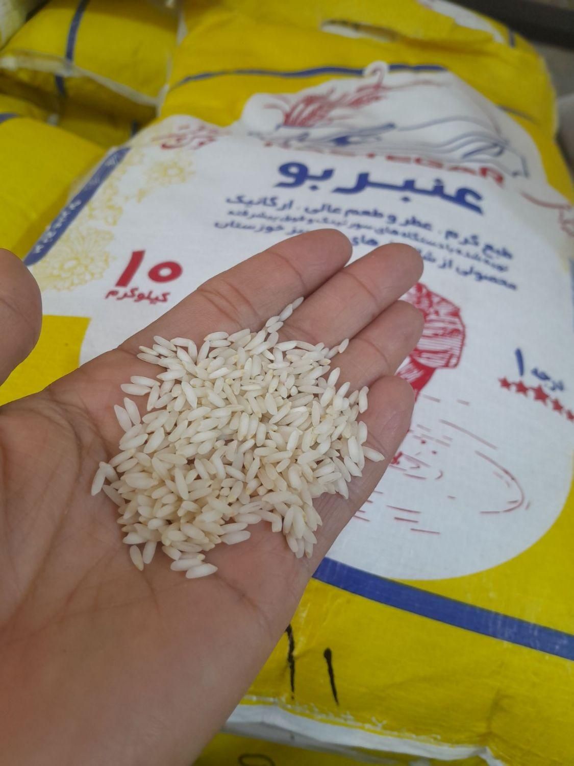 عنبربو|خوردنی و آشامیدنی|مشهد, مشکینی (شهرک غرب)|دیوار