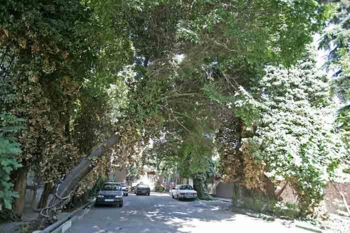 آپارتمان ۶۴ متری غرق نور|اجارهٔ آپارتمان|تهران, نارمک|دیوار