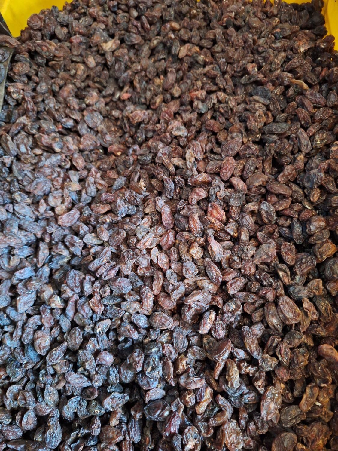 خانهکشمش وعسل شهرکرد|عمدهفروشی|شهرکرد, |دیوار