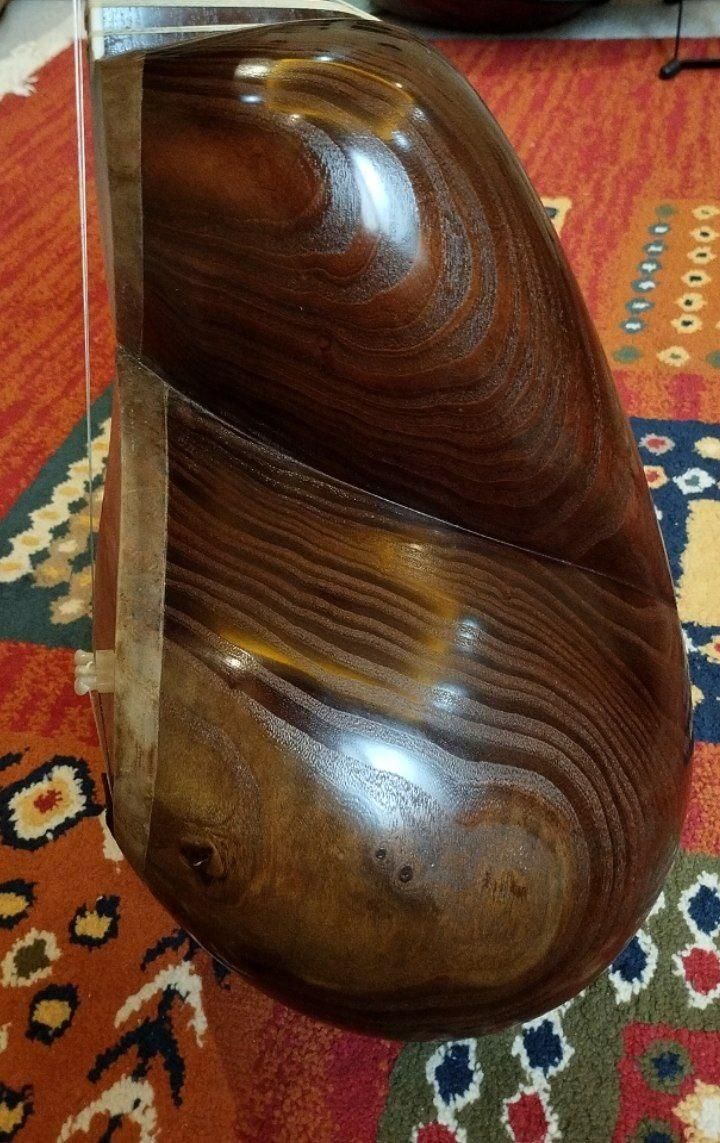 تار حرفه ای ساخت استاد حسین بیشه ای ۱۴۰۲|سازهای سنتی|تهران, پیروزی|دیوار