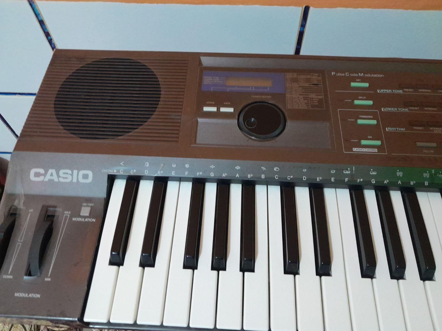 ارگ CASIO|پیانو، کیبورد، آکاردئون|مرودشت, تخت جمشید|دیوار