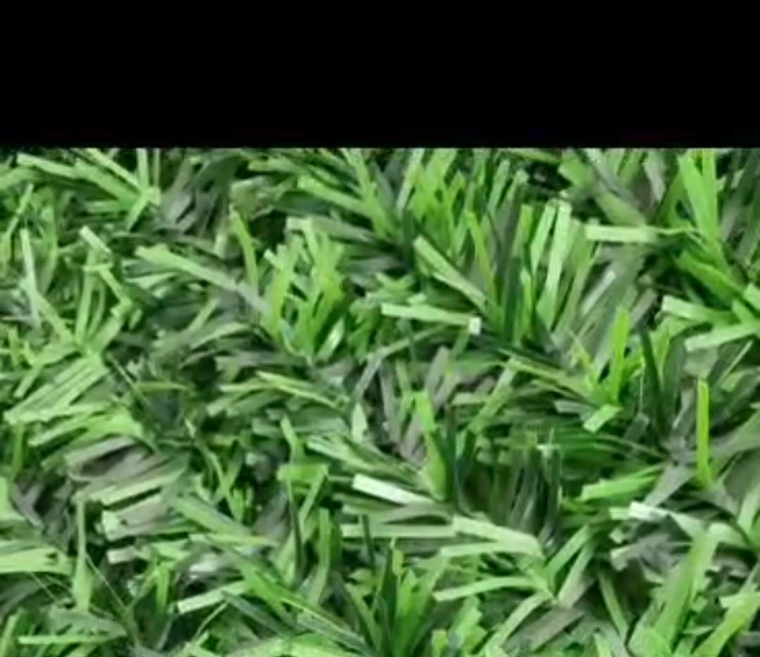 چمن فنس چمنی تایل چمن|مصالح و تجهیزات ساختمان|زنجان, |دیوار