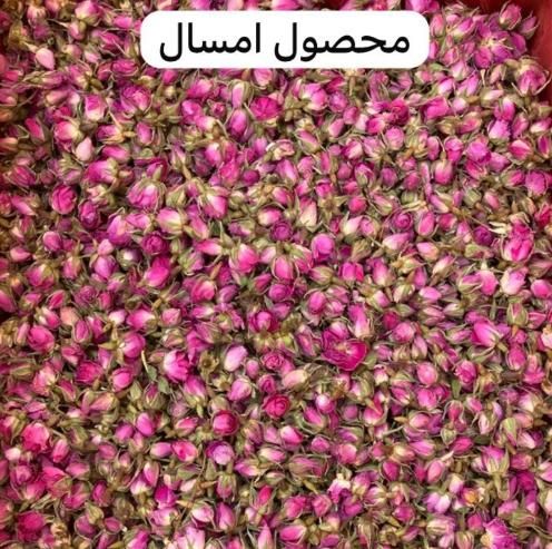 غنچه گل محمدی ممتاز امساله|خوردنی و آشامیدنی|رشت, بازار|دیوار