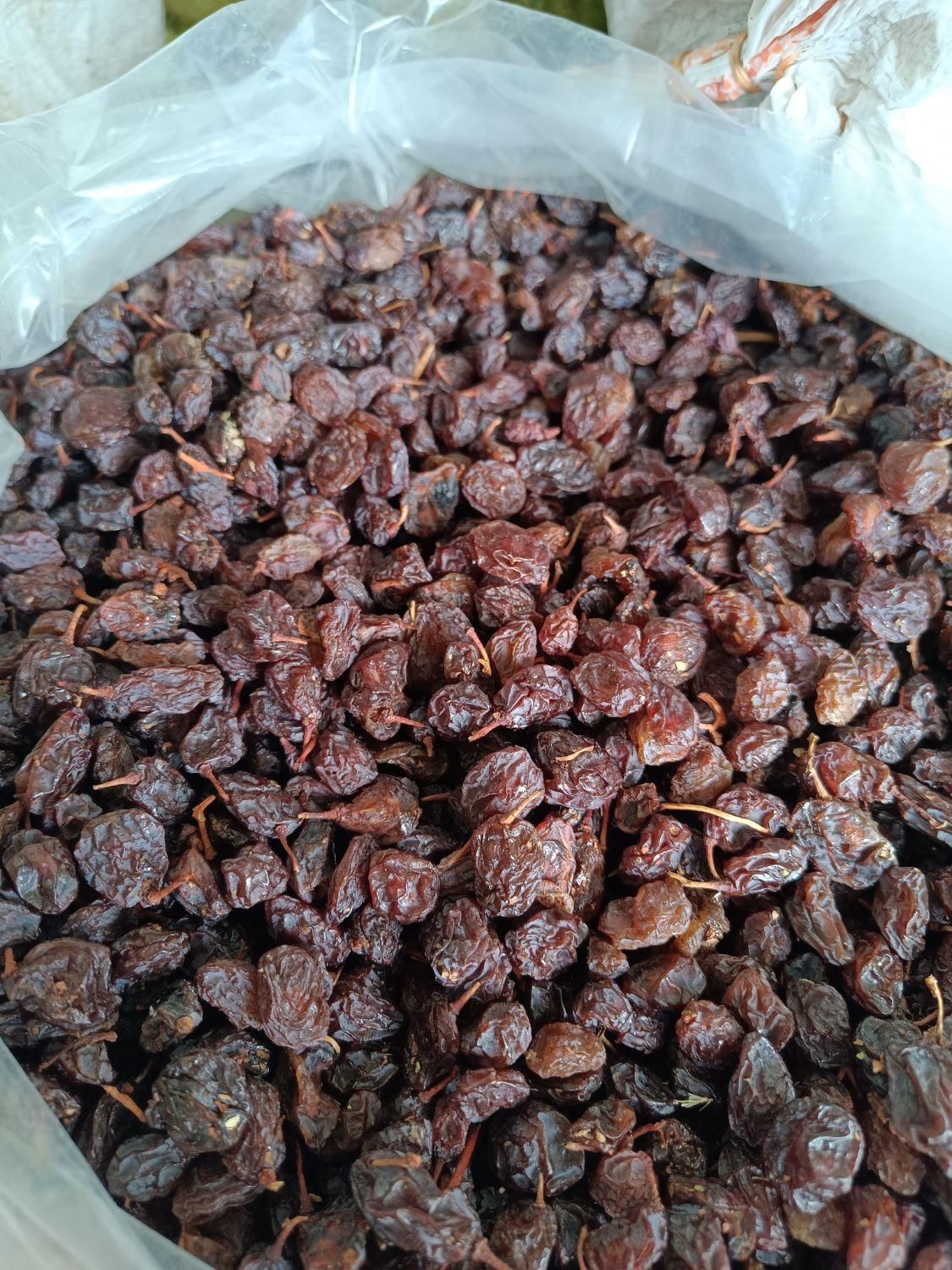 مویز وکشمش خرما خمیر خرما شیره خرما|عمدهفروشی|شیراز, شهرک مدرس|دیوار