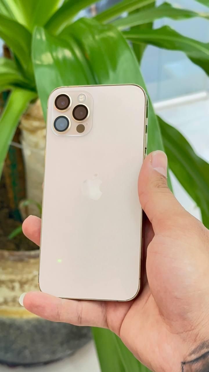 اپل iPhone 12 Pro با حافظهٔ ۲۵۶ گیگابایت|موبایل|اراک, |دیوار