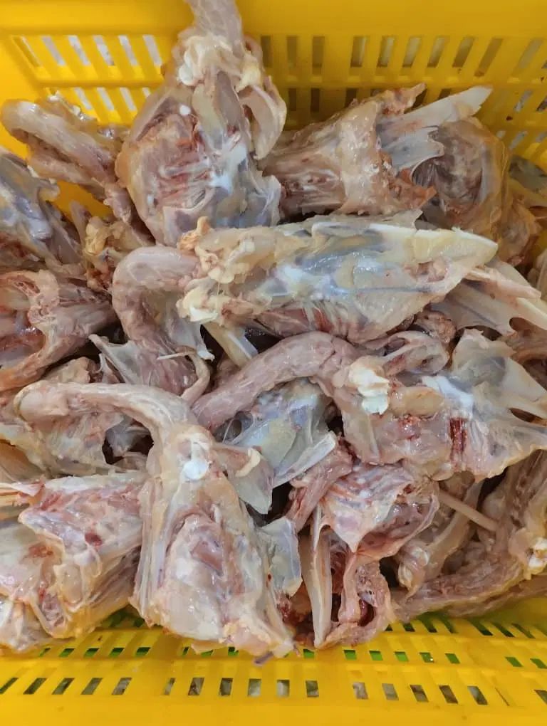 اسکلت مرغ   غذای سگ|لوازم جانبی حیوانات|کرج, ملک‌آباد|دیوار