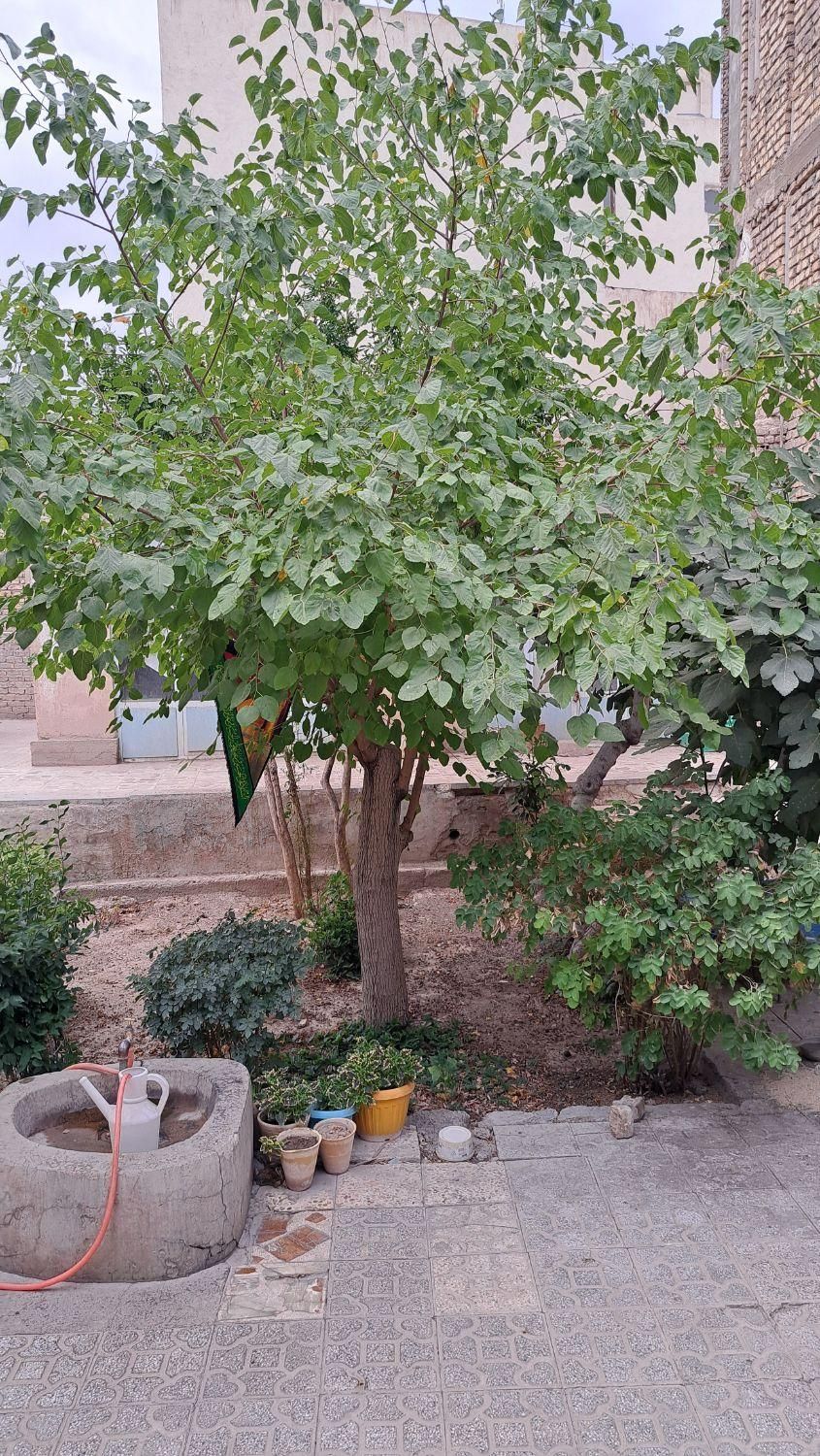 منزل کلنگی فروش از طریق مزایده|فروش زمین و ملک کلنگی|اصفهان, مسجد مصلی|دیوار