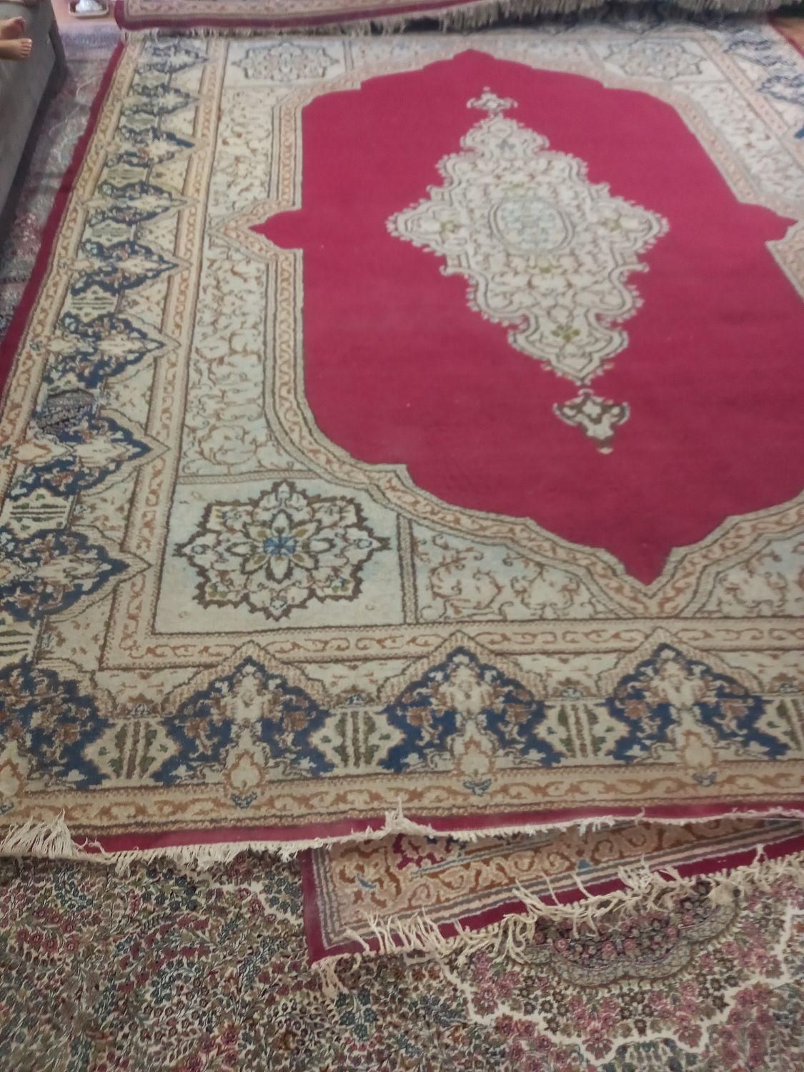 قالی کرمانی دستباف|فرش|کرمان, |دیوار