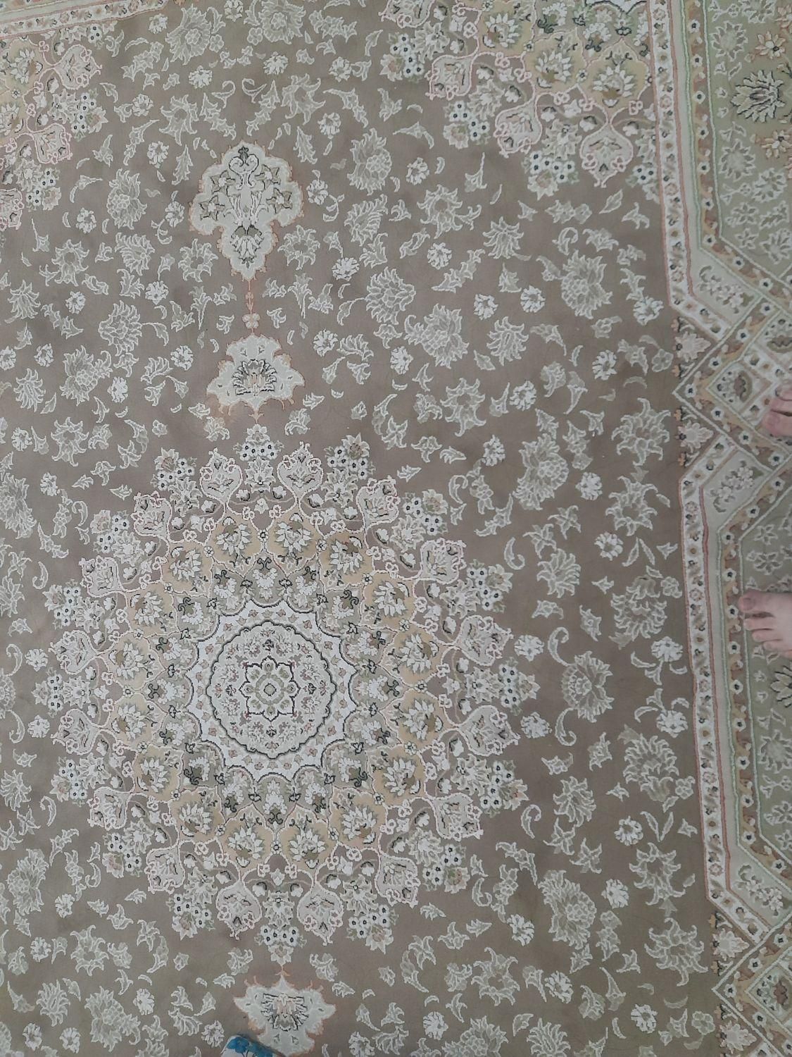دو عدد  فرش  ۶ متری|فرش|رشت, جماران|دیوار
