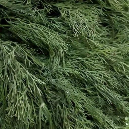 سبزی تازه قیمت میدان تره بار  کرفس کوکو قرمه آش|خوردنی و آشامیدنی|فردیس, فردیس|دیوار