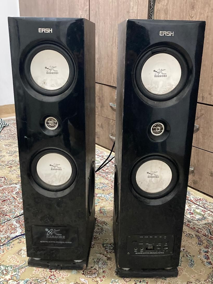 اسپیکر ایستاده دو قلو ersh|سیستم صوتی خانگی|رشت, تازه آباد|دیوار