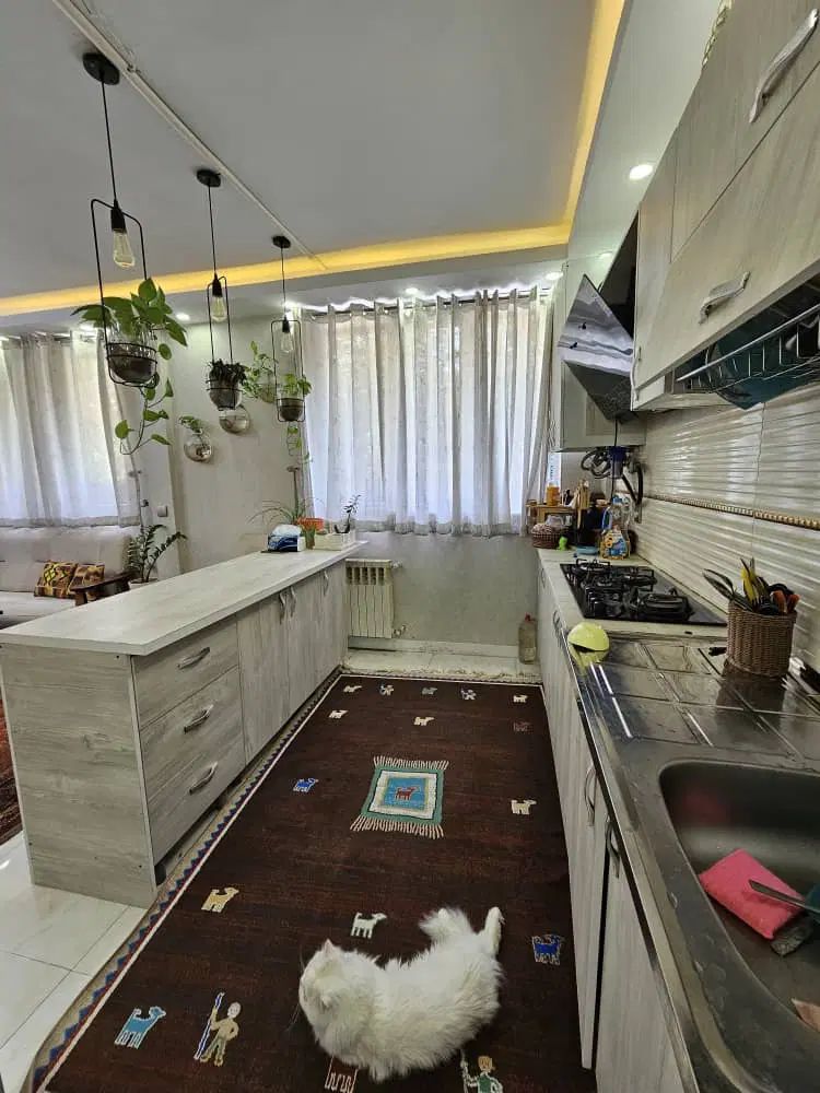 ۴۳متر/پارکینگ دار/خوش نقشه/تاپ لوکیشن سلسبیل|فروش آپارتمان|تهران, سلسبیل شمالی|دیوار