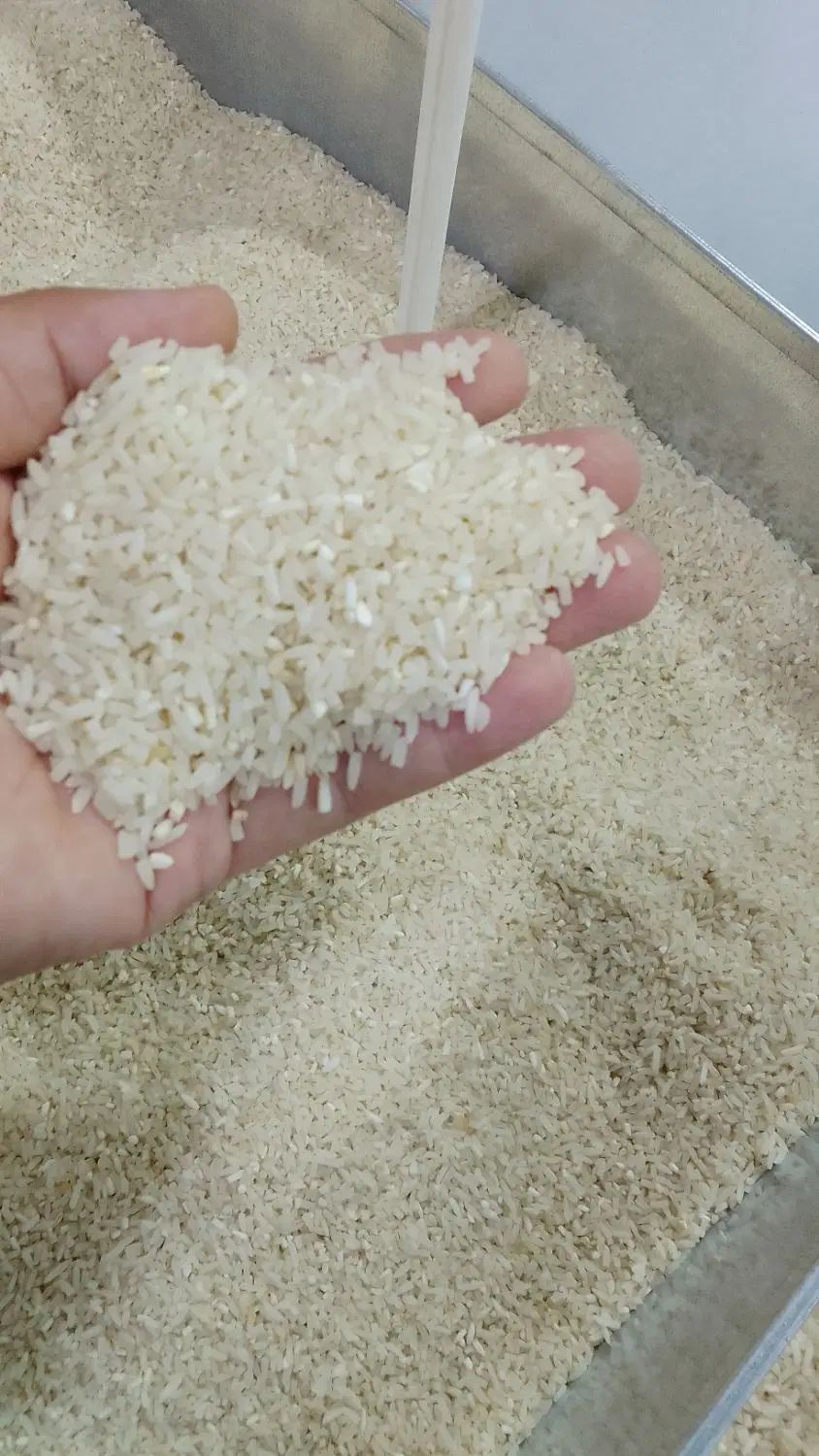 برنج طارم فریدونکنار درجه یک|خوردنی و آشامیدنی|مشهد, پنجتن|دیوار