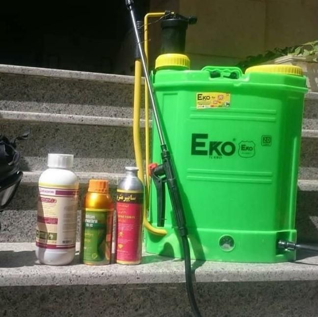 سمپاشی/موریانه/ضمانت/سم پاشی/ساس سوسک موش|خدمات نظافت|اهواز, کیانپارس |دیوار