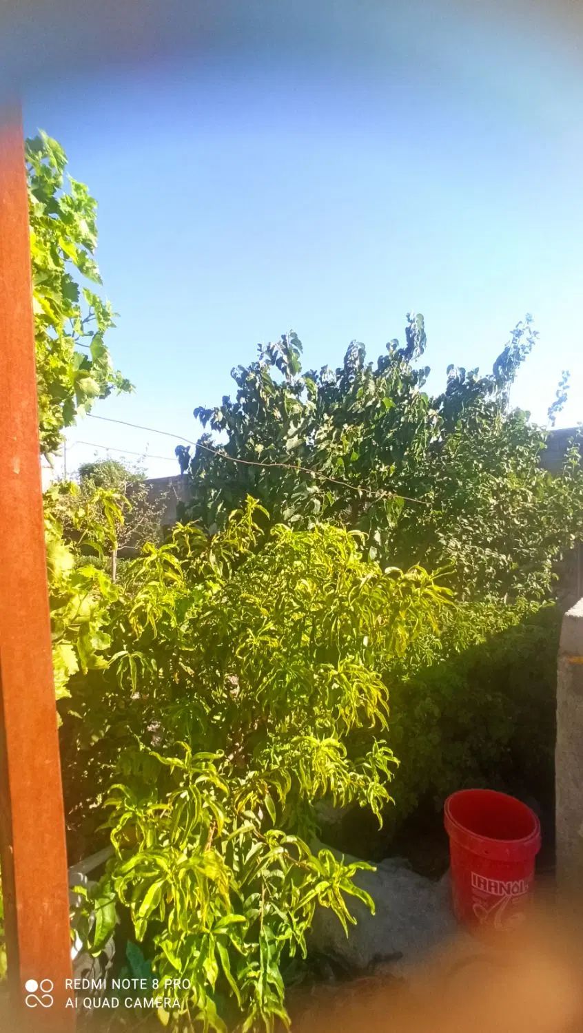 نیازمندسرمایه گذاردرشرکت تولید پوشاک درزاهدان|مشارکت در ساخت املاک|تهران, آرژانتین|دیوار