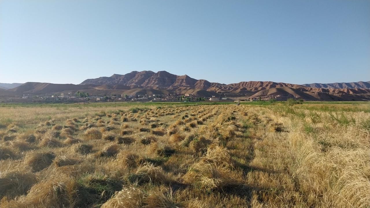 دروگر مدل۷۷ موتور ۸۷۰ایتالیایی با ۳عددجلوبندی|خودرو سنگین|تبریز, |دیوار