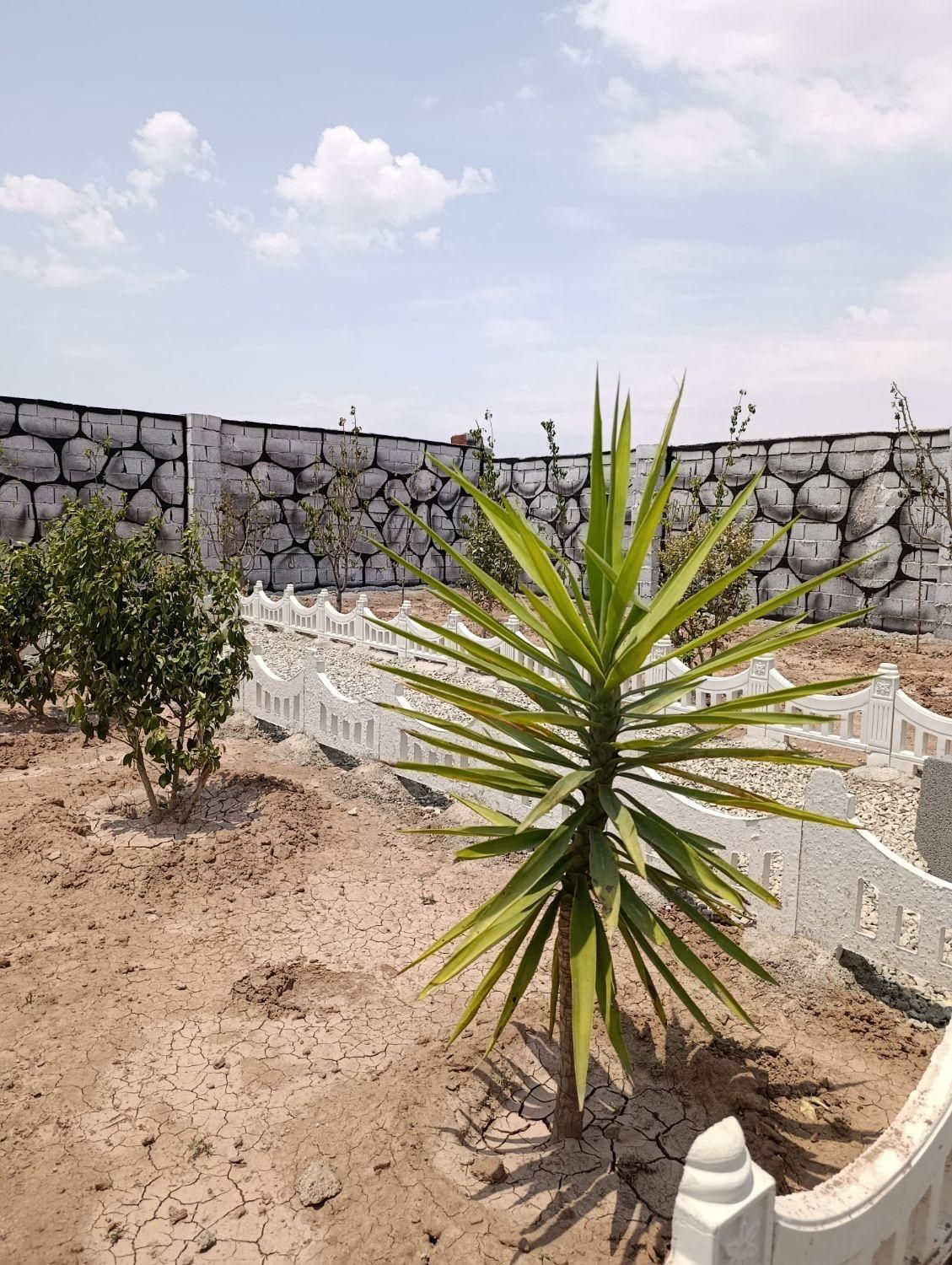 باغچه/۲۲۵ متر/محوطه سازی|فروش زمین و ملک کلنگی|شهریار, اصیل آباد|دیوار