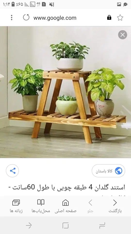 استند گل|گل و گیاه طبیعی|رشت, گلباغ نماز|دیوار