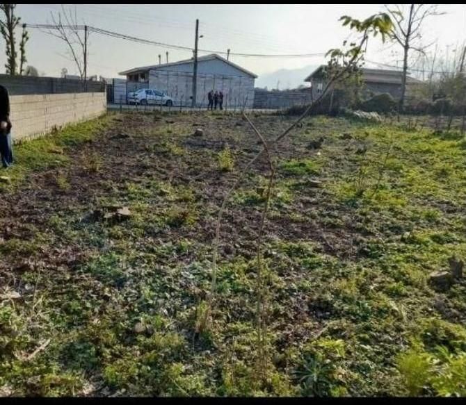 فروش ۴۵۲متر زمین مسکونی بره اسفالت|فروش زمین و ملک کلنگی|شاندرمن, |دیوار