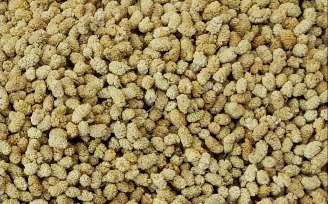توت خشک|خوردنی و آشامیدنی|اصفهان, هفتون|دیوار