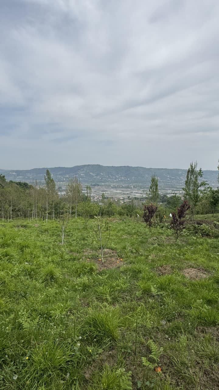 ۲۰۰۰ متر زمین باغ میوه ویودار در بابلکنار|فروش دفتر صنعتی، کشاورزی، تجاری|بابل, |دیوار