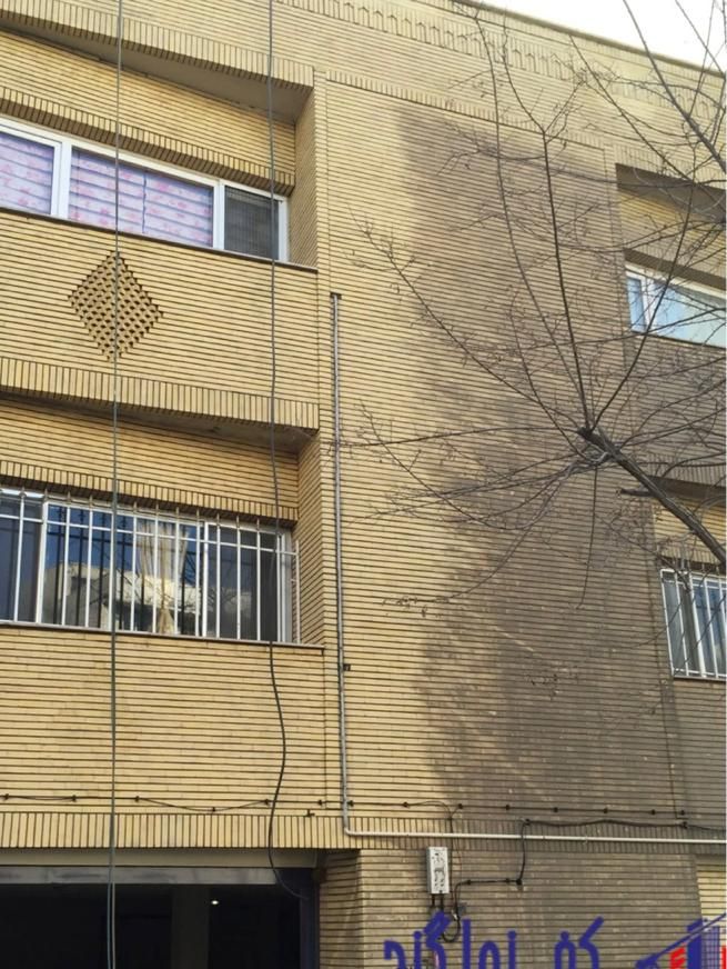 کفسابی نماشویی گنجی شستشو استخر پیچ رولپلاک|خدمات نظافت|تهران, دروس|دیوار