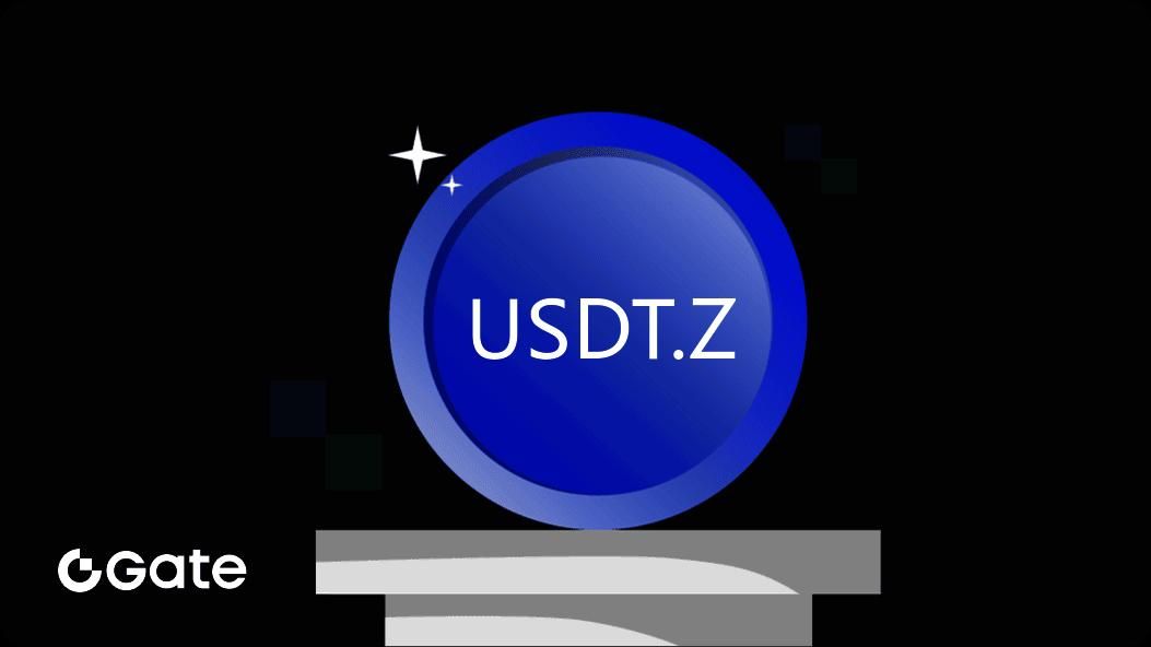 تتر فلش USDT.Z فقط با ۸ درصد|لوازم جانبی موبایل و تبلت|تهران, شهرک غرب|دیوار