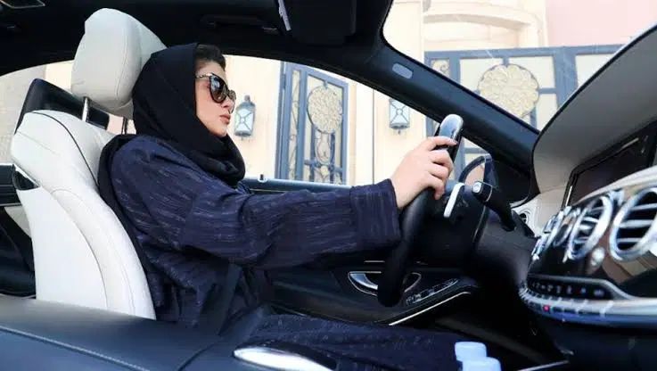 نیازمند ماشین سواری باراننده خانم برای آنلاین شاپ|استخدام حمل و نقل|تبریز, |دیوار