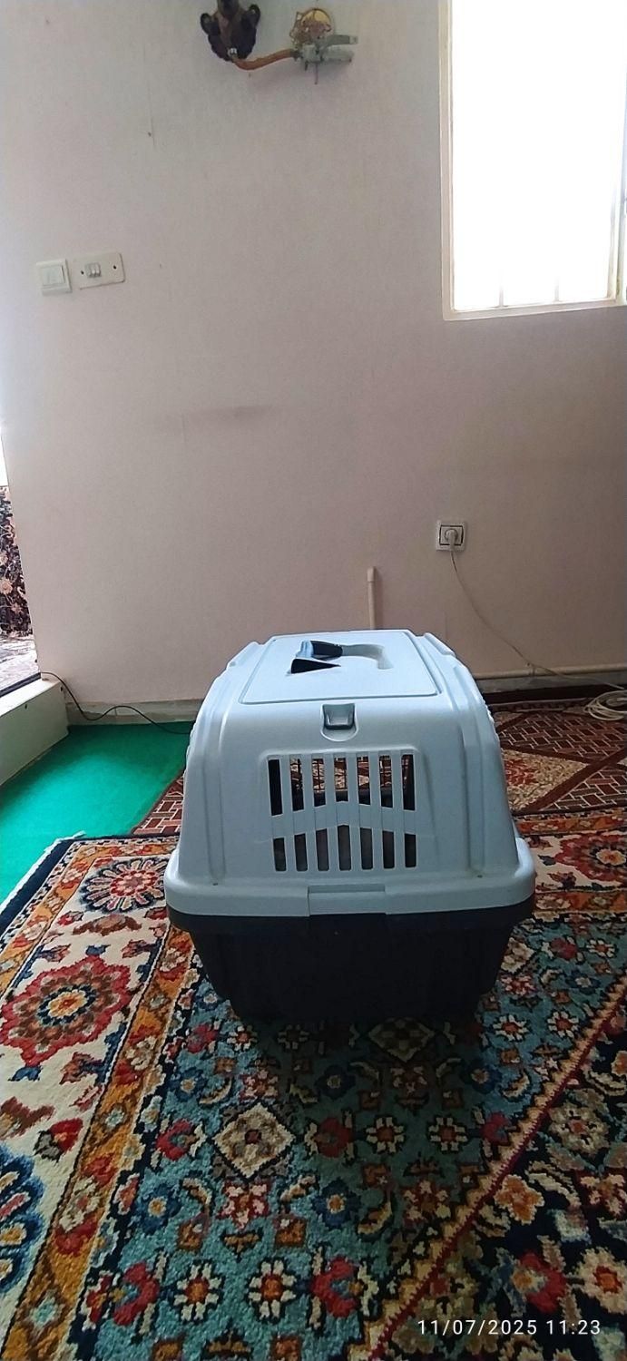 باکس سگ برند اسکودو اصل|لوازم جانبی حیوانات|کرج, حصارک بالا|دیوار
