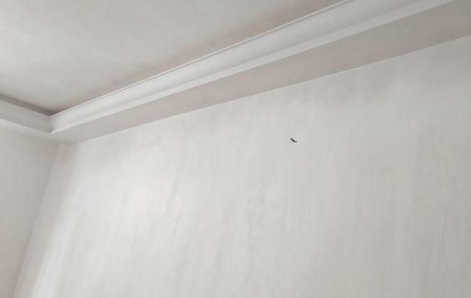 گچکاری تمام نقاط مشهد با کیفیت و قیمت مناسب|خدمات پیشه و مهارت|مشهد, محمدآباد|دیوار