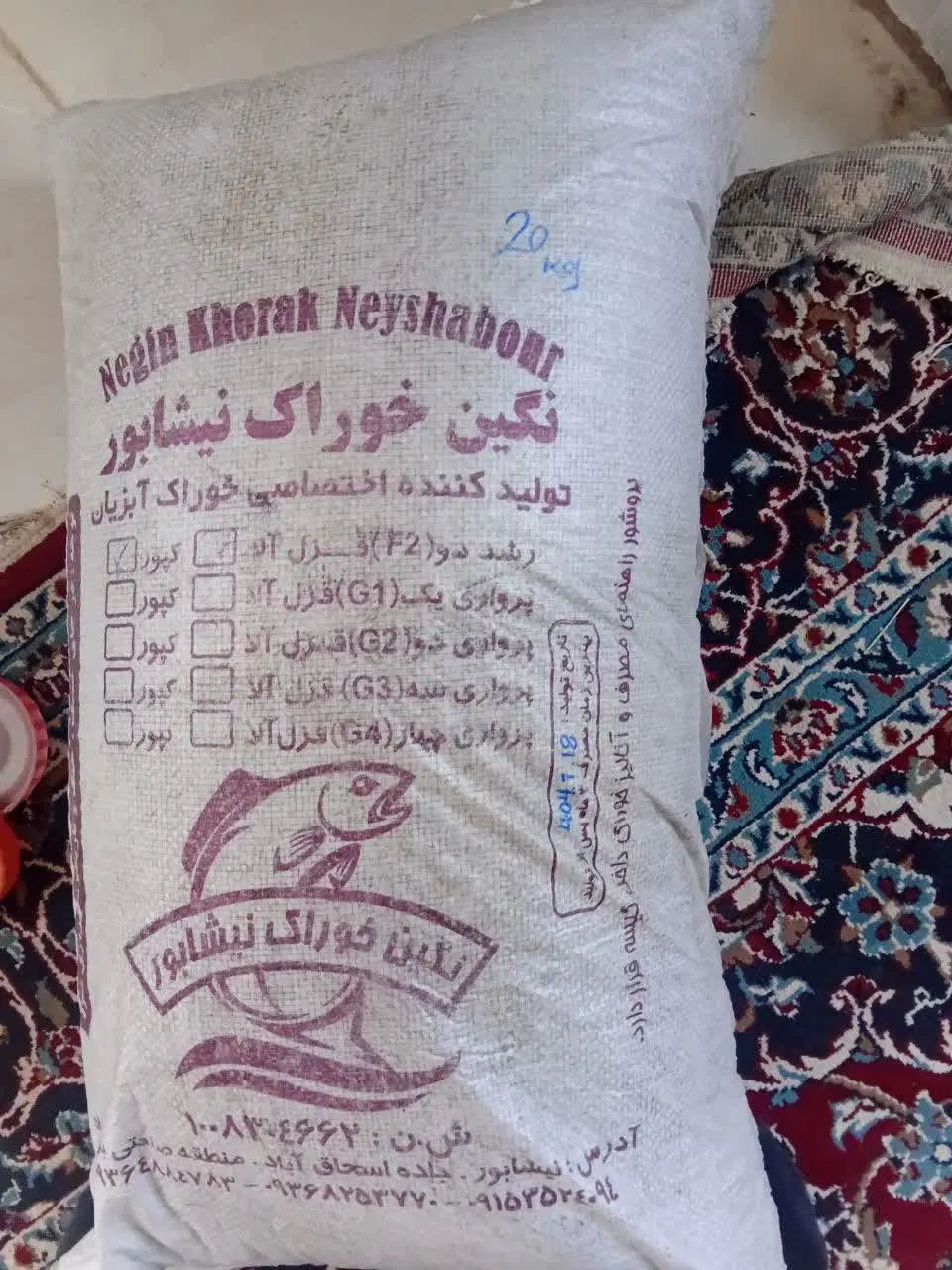 خوراک ماهی|ماهی|مشهد, تبادکان|دیوار