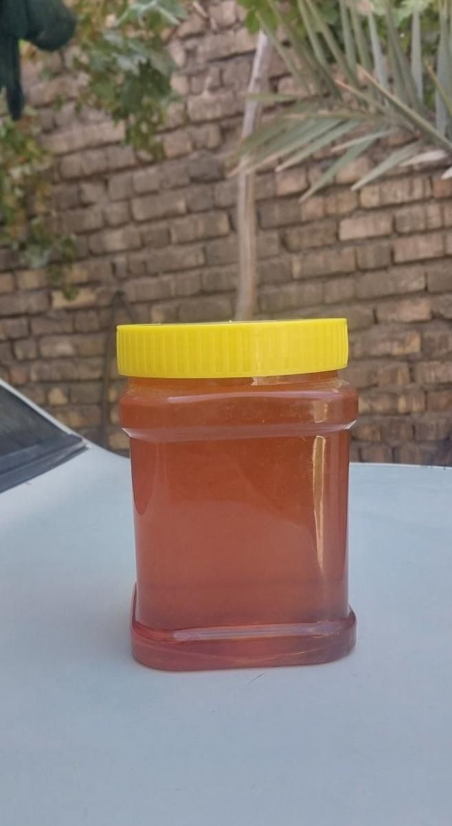 عسل چهل گیاه|خوردنی و آشامیدنی|اصفهان, ارداجی|دیوار