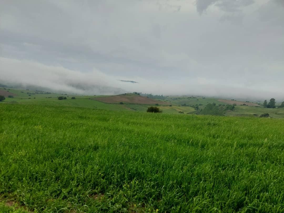 زمین مسکونی، کشاورزی،باغی،روستای آسیابر|فروش زمین و ملک کلنگی|دیلمان, |دیوار