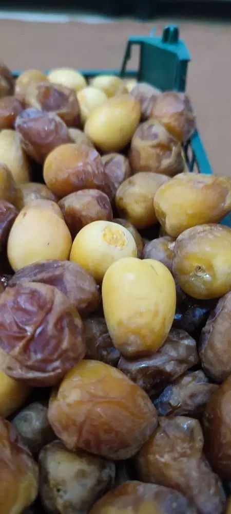رطب برحی آبادان|خوردنی و آشامیدنی|تهران, مروارید شهر|دیوار