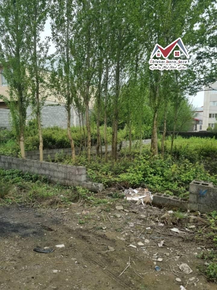 فروش زمین مسکونی  مدارک کامل در بهترین نقطه بشم|فروش زمین و ملک کلنگی|بندر انزلی, نوروزی|دیوار