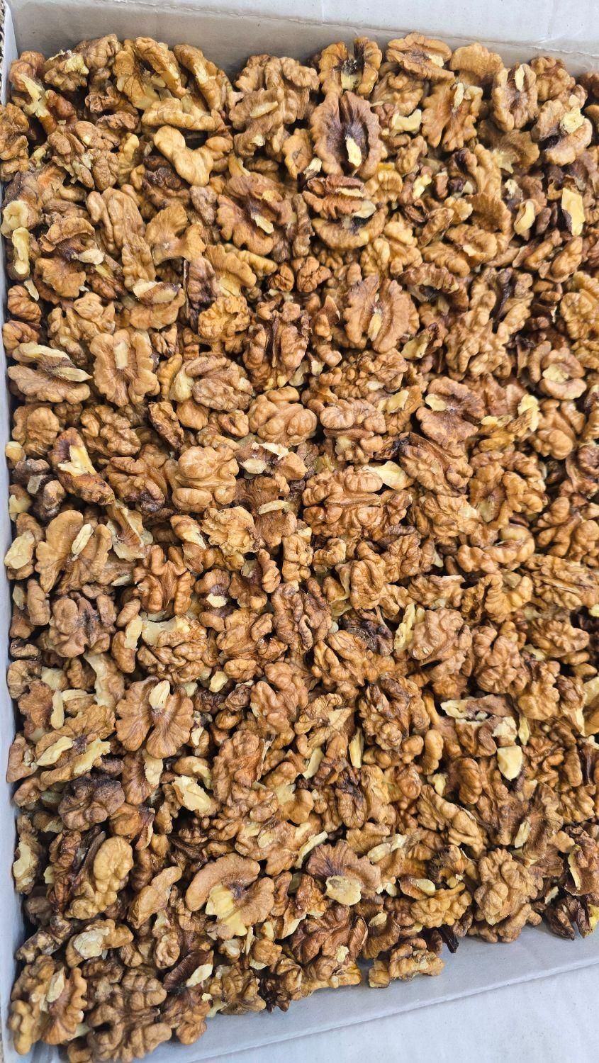 مغز گردو سفید معمولی|خوردنی و آشامیدنی|تهران, سرآسیاب مهرآباد|دیوار
