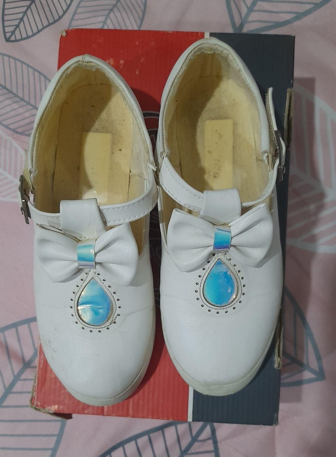 کیف زنانه|کیف، کفش، کمربند|گنبد کاووس, |دیوار