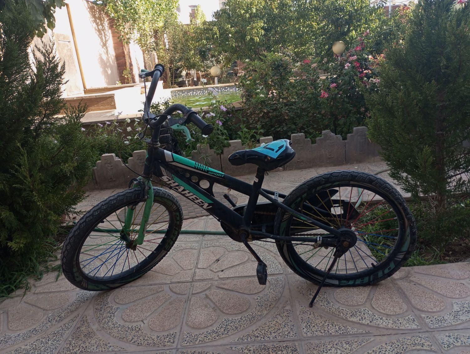 دوچرخه 20شاهین|دوچرخه، اسکیت، اسکوتر|کرمان, |دیوار