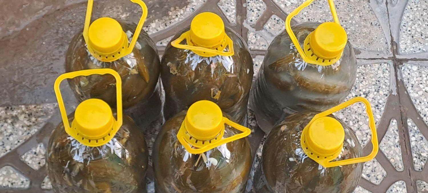 خیارشور خوش طعم  قیمت پایین|خوردنی و آشامیدنی|مشهد, کوی المهدی|دیوار