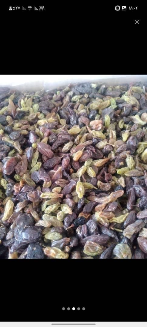 پخش انواع کشمش افتابی و شیره انگور|خوردنی و آشامیدنی|بومهن, |دیوار