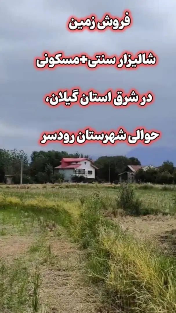 فروش شالیزار سنتی متراژهای بالا و هکتاری|فروش زمین و ملک کلنگی|کلاچای, |دیوار