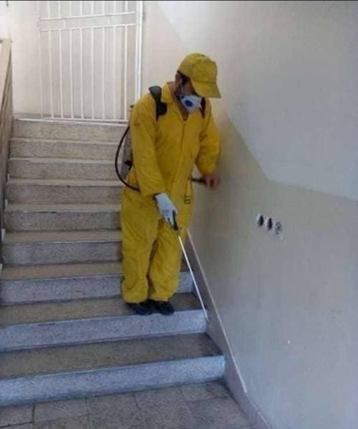 سمپاشی/موریانه زدایی کل اهواز/سم پاشی انواع حشرات|خدمات نظافت|اهواز, شهرک الهیه|دیوار