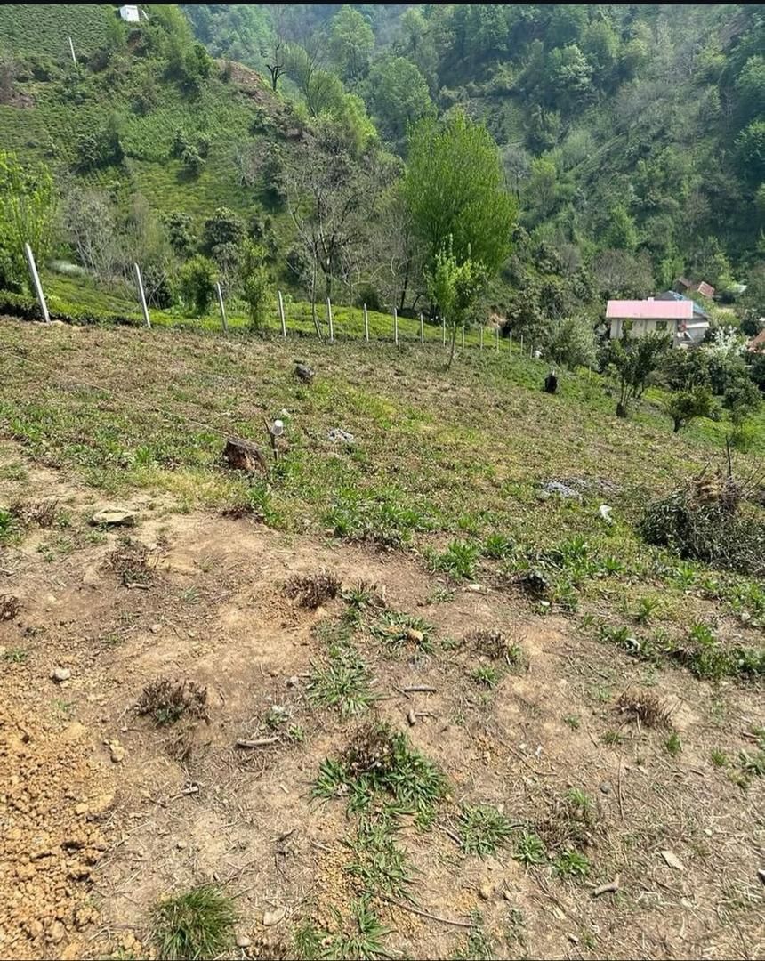 زمین ۱۰۰۰ متری با پروانه ساخت|فروش زمین و ملک کلنگی|لاهیجان, لیل|دیوار