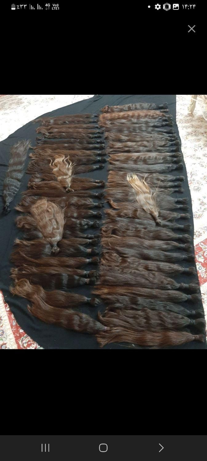 تنها خریدار اصلی مو|خدمات آرایشگری و زیبایی|نورآباد, |دیوار