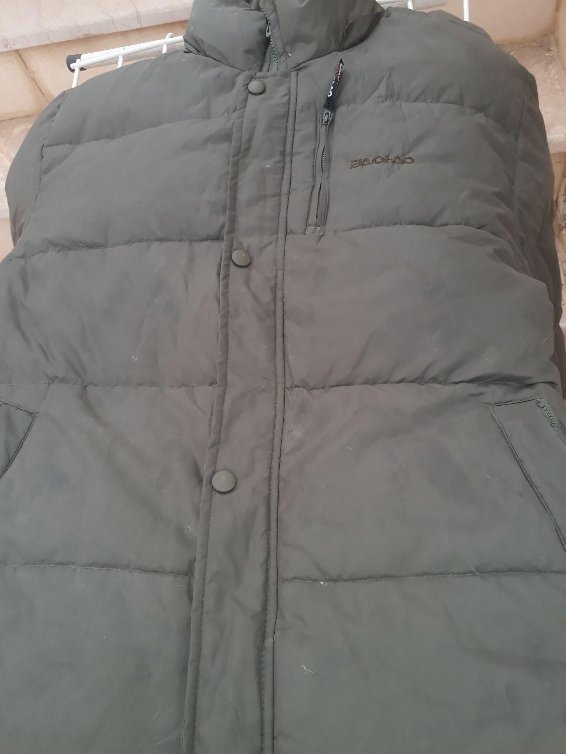 کاپشن مردانه|لباس|شاهینشهر, گرگاب|دیوار