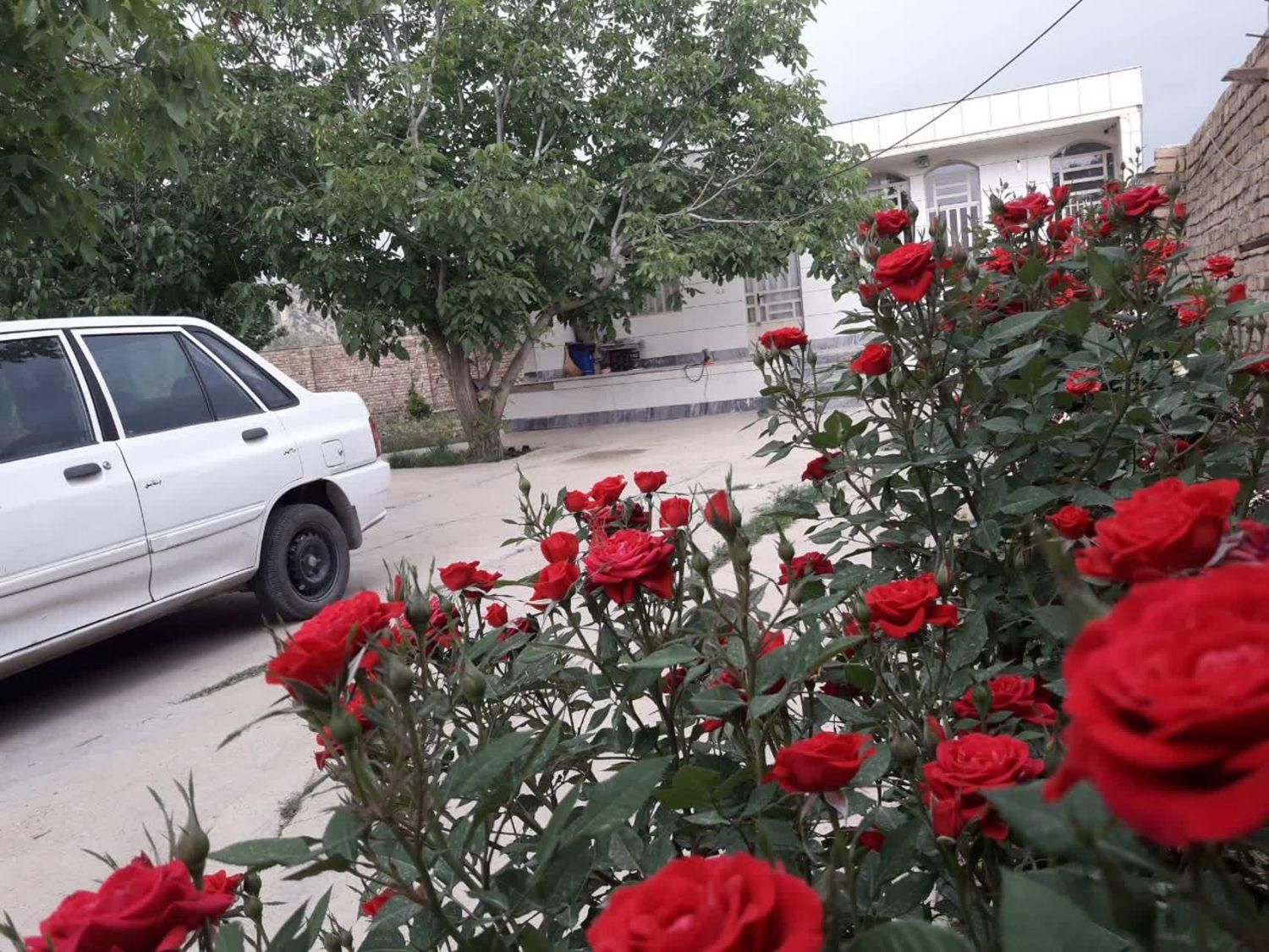 باغ ویلا ۷۰۰متری نزدیک هفت حوض و مخملکوه|اجارهٔ کوتاه‌مدت ویلا و باغ|خرم‌آباد, |دیوار